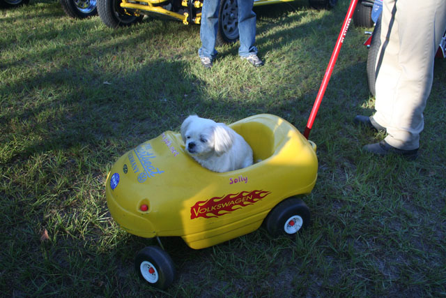 2008 Pig On The Pit  - 033