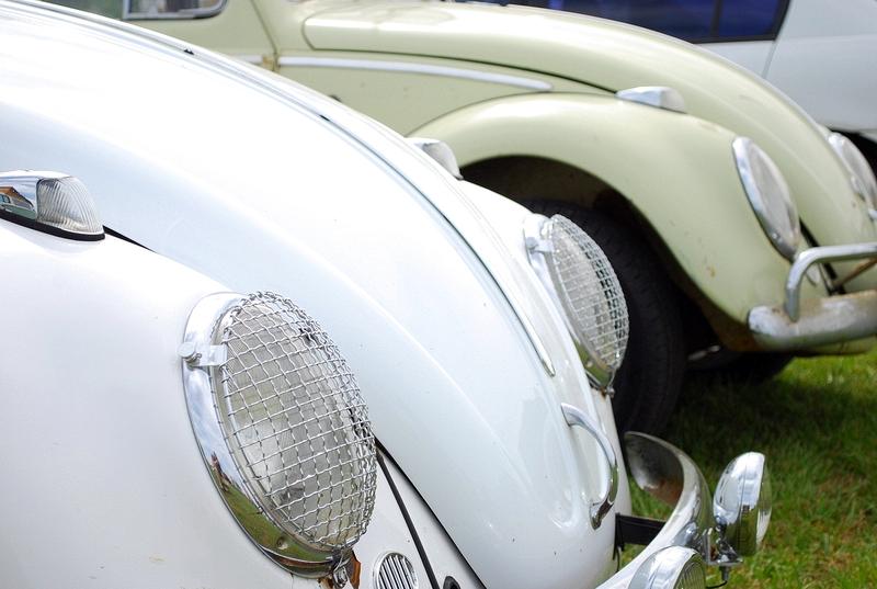 Bug-a-paluza 2009  - 020