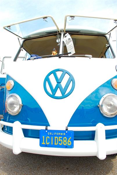 Bug-a-paluza 2009  - 083