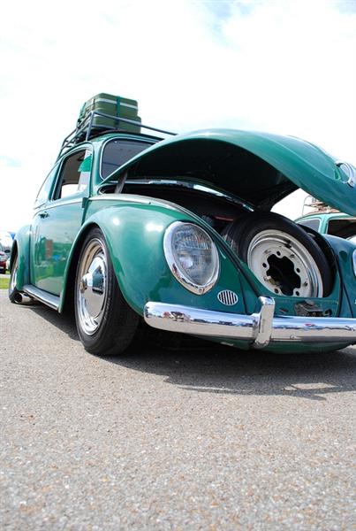 Bug-a-paluza 2009  - 104