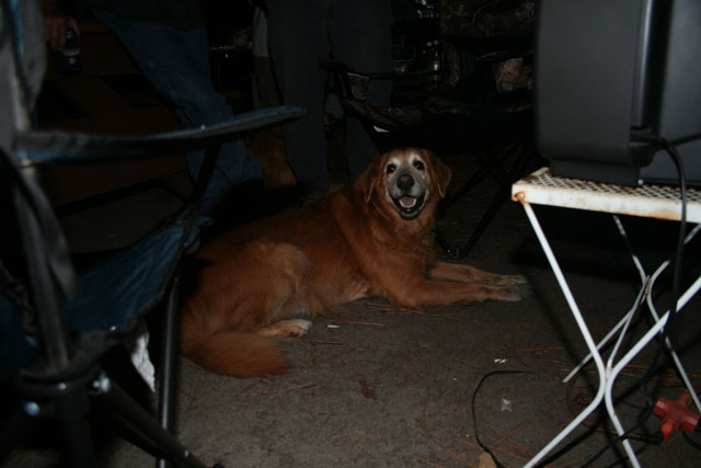 Pig In The Pit 10-26-08  - 024
