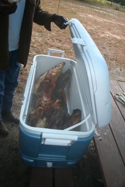 Pig In The Pit 10-26-08  - 067