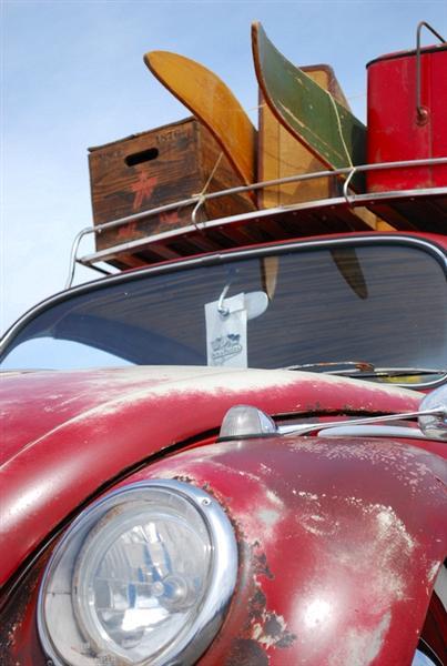 Bug-a-paluza 2009  - 087