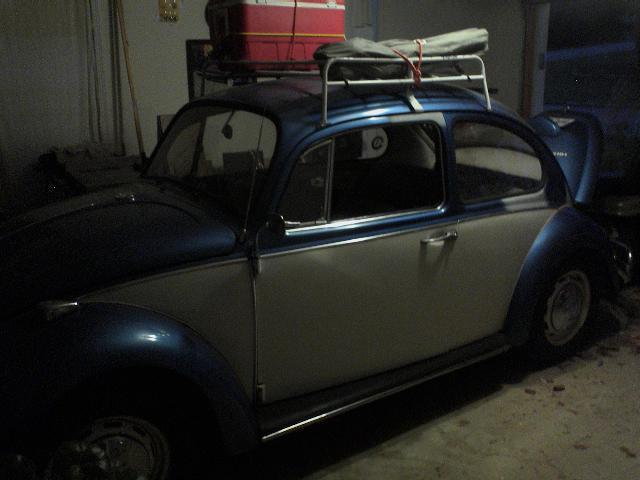 My Bug