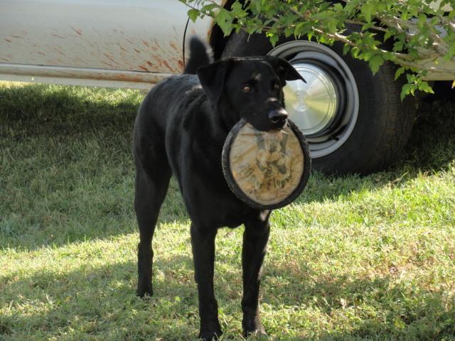 Dsc00112 (small)