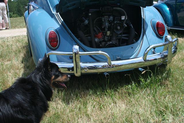Y U Bug'n 2.0 --- 2008 - 035