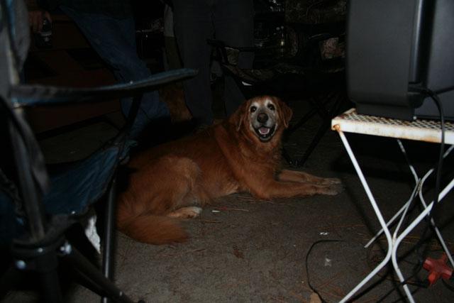 Pig In The Pit 10-26-08  - 024