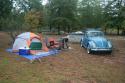 Previous Pictures